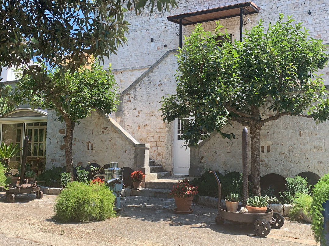 B&B Masseria SD di Manchisi主图