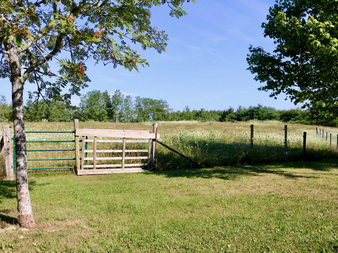 River Ridge Lodge主图