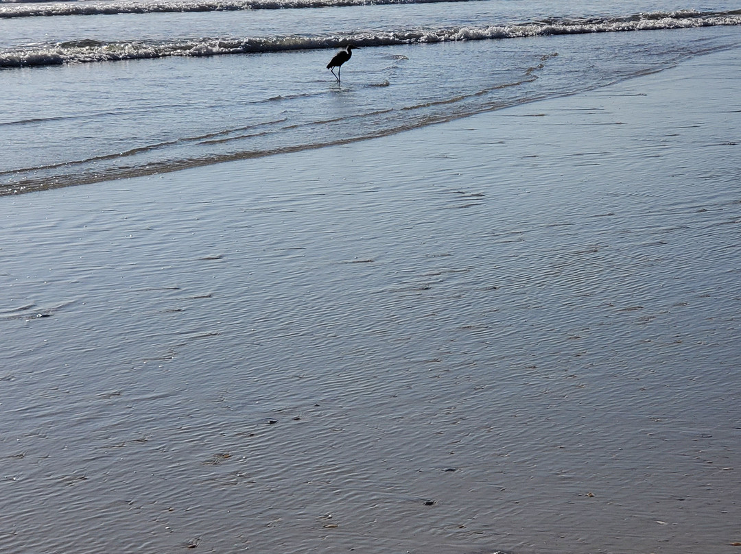 Matanzas Inlet-圣奥古斯丁必去景点