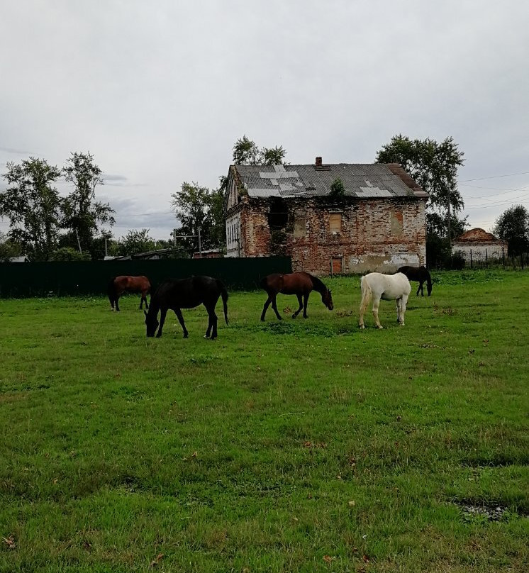 Stroganov Chambers-Usolye必去景点