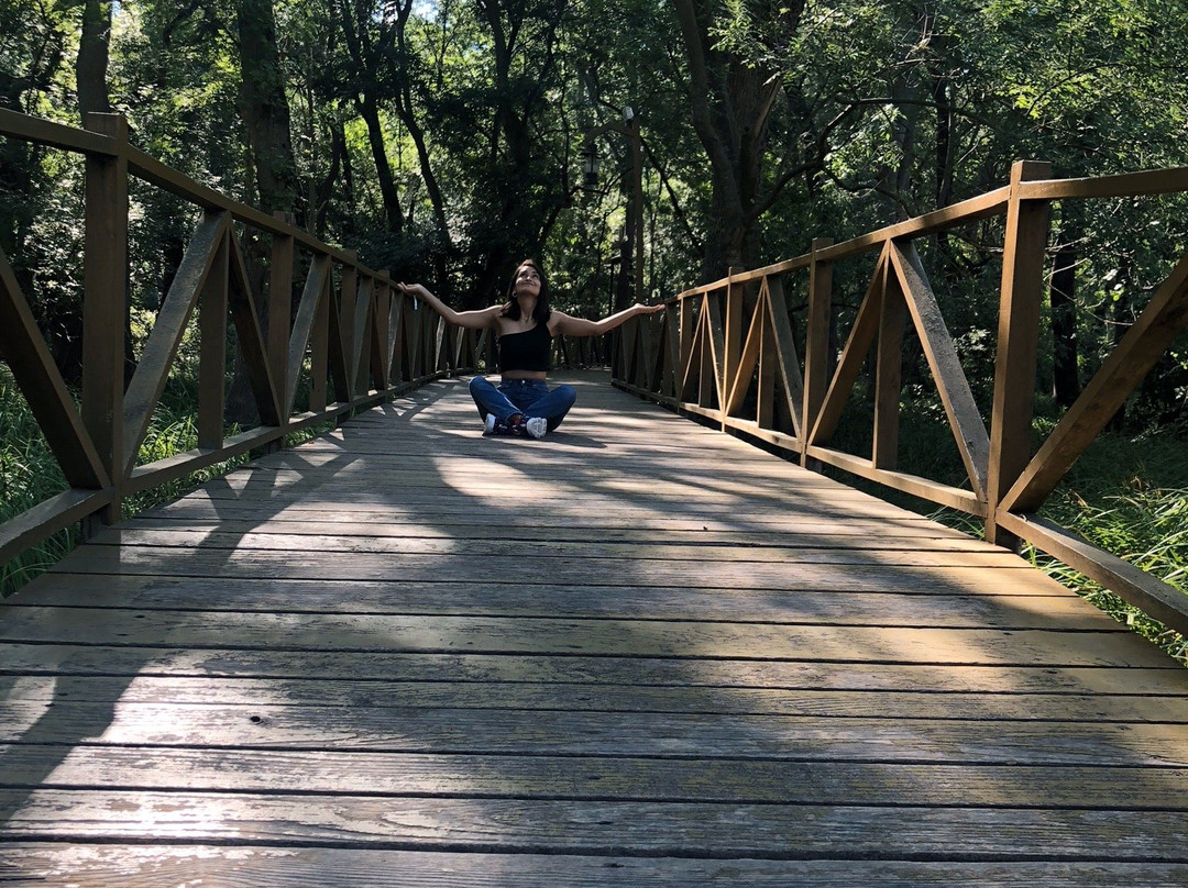 Cakirlar Korusu-Cakirlar Yali必去景点