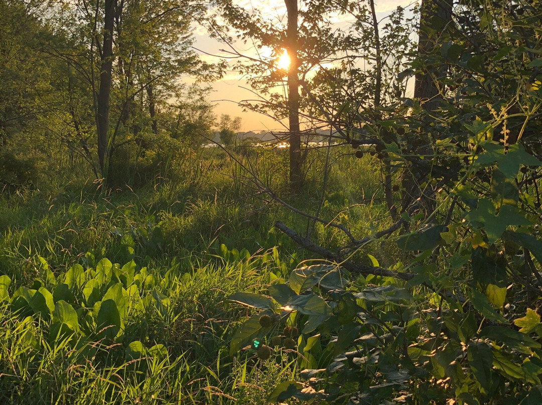 Beyer Farm Trail景点图片