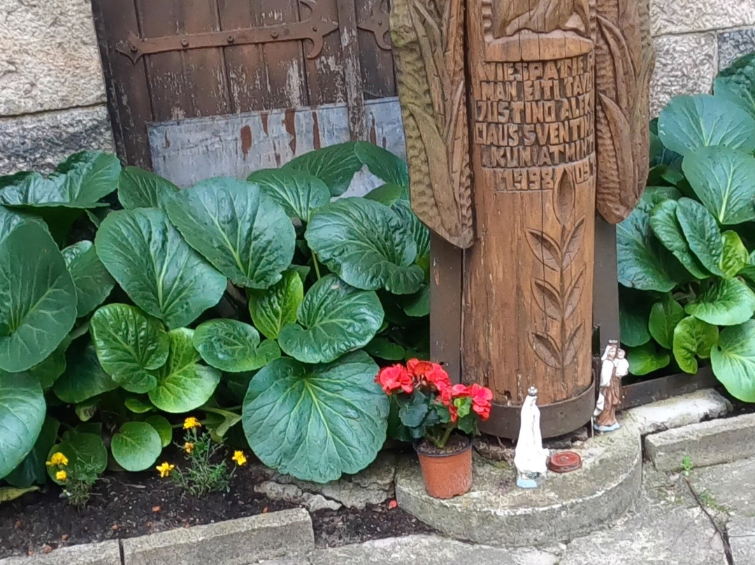 Church of Saint Mary's Scapular-德鲁斯基宁凯必去景点
