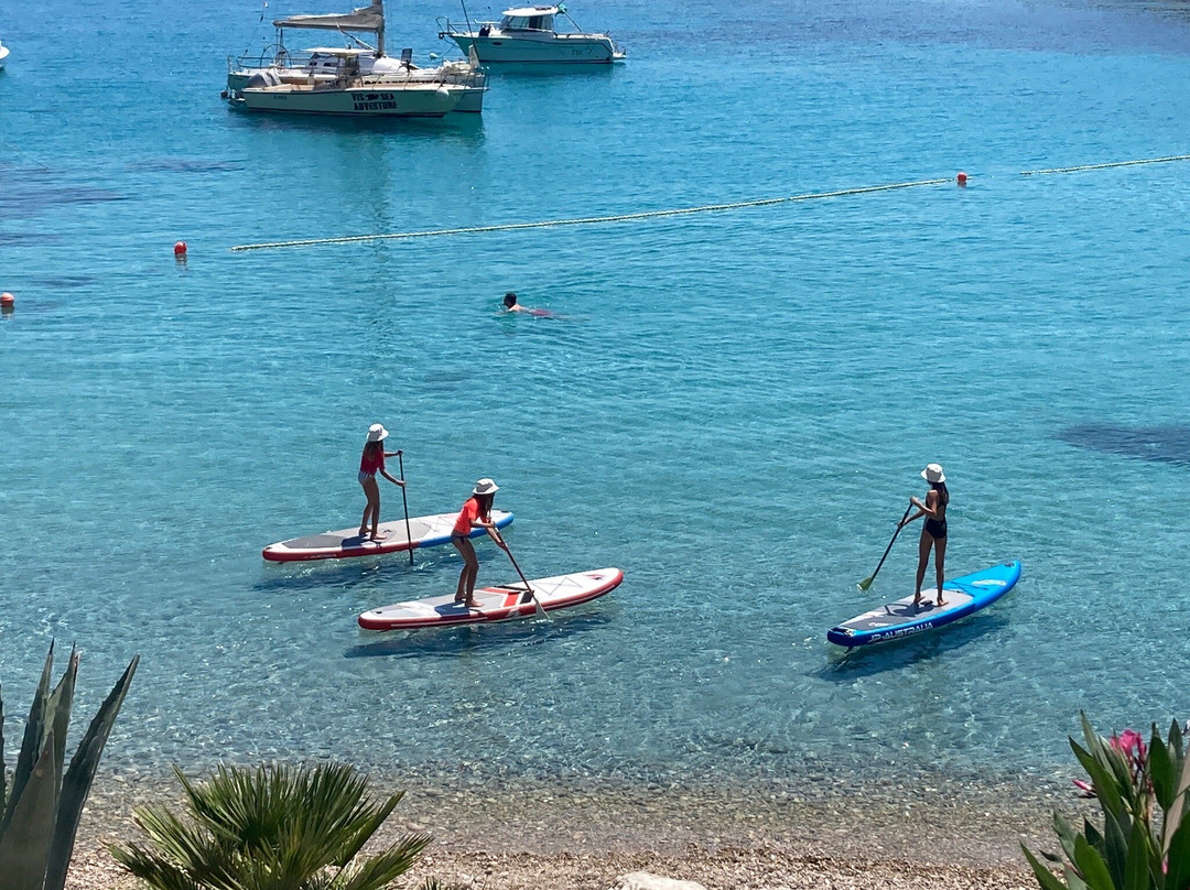 Stand Up Paddle Vis景点图片