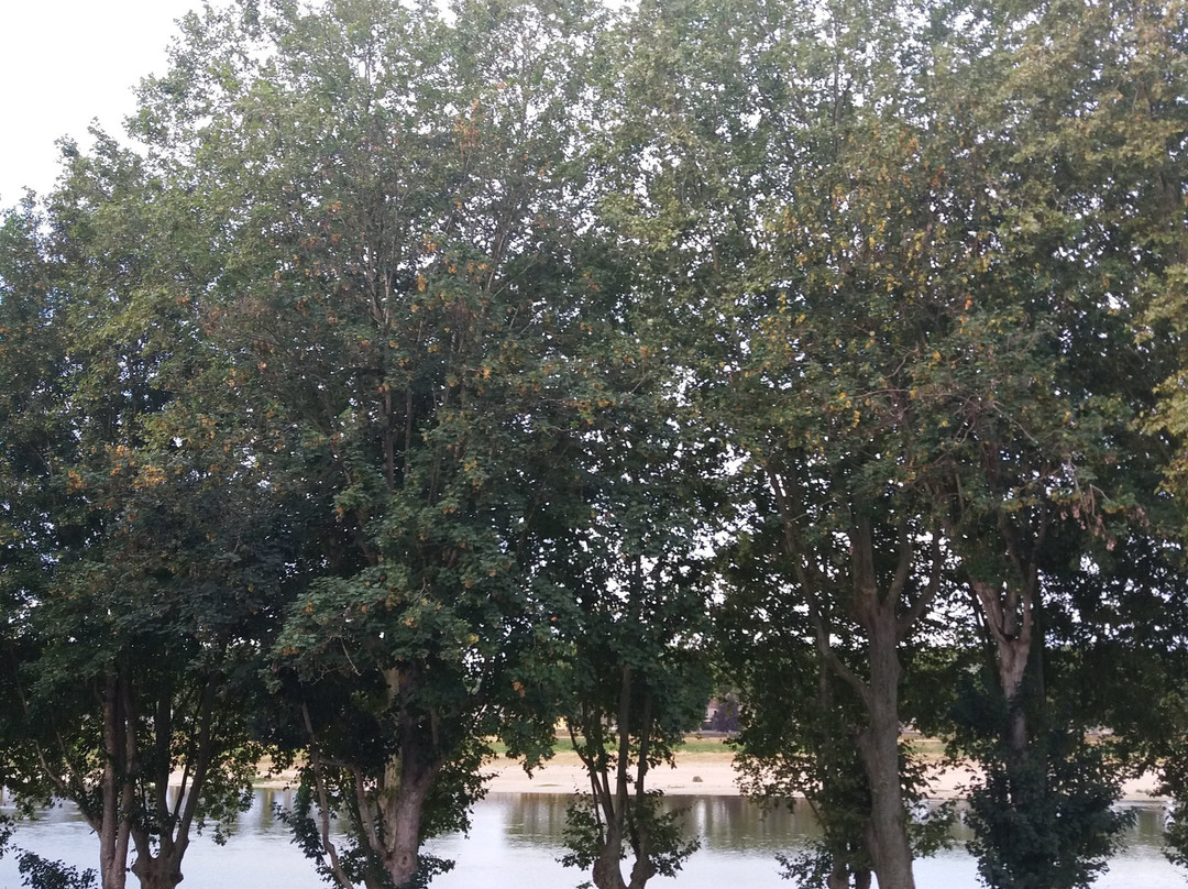 Logis Hôtel le Rivage主图