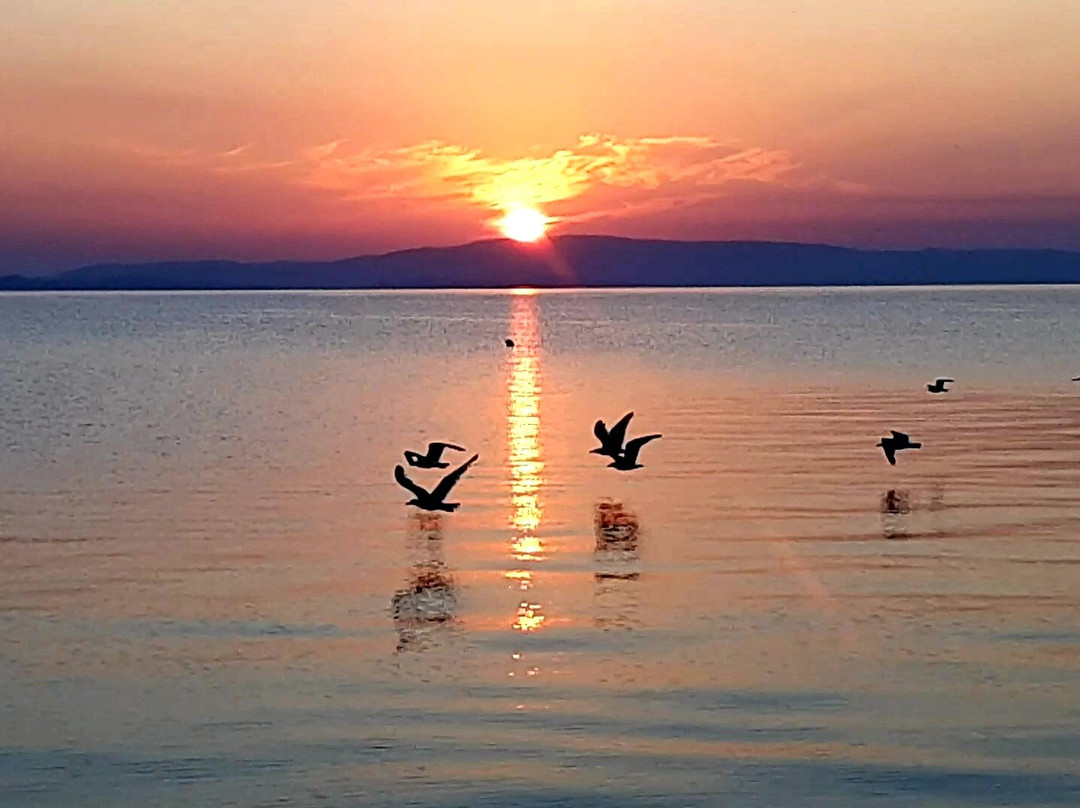 Evangelia's Family House主图