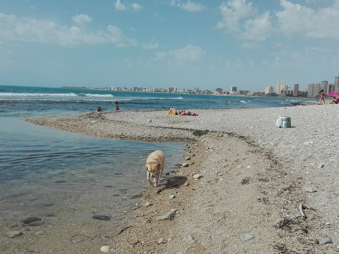 Playa Can Campello-坎佩略必去景点