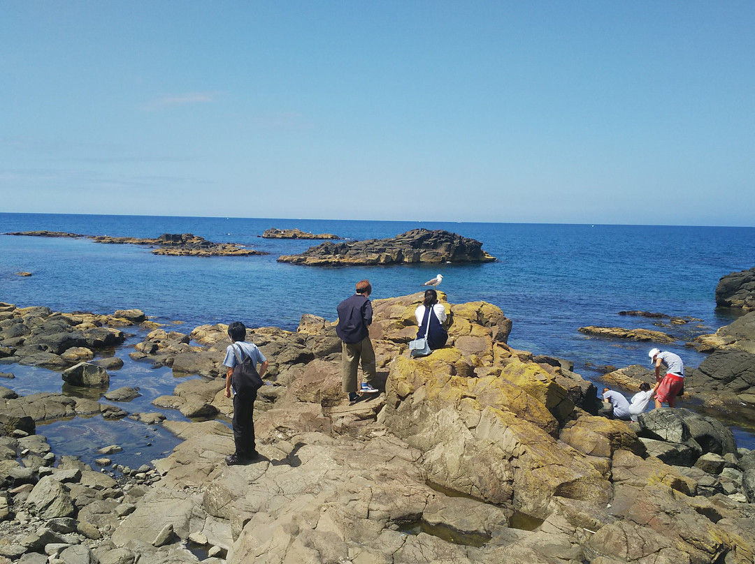 Ogon Point-留萌市必去景点