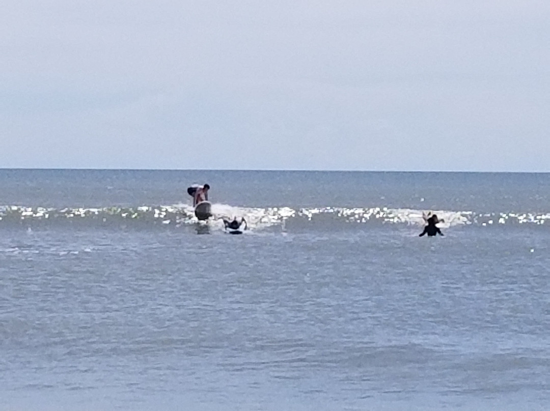 Jax Surf and Paddle景点图片