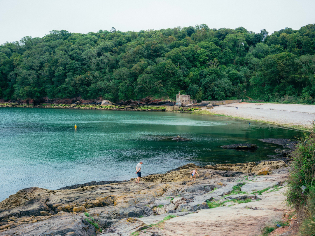 Tourbay Tours - Historical Coast Tours景点图片