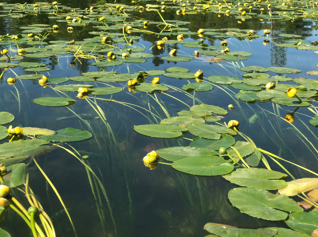 Base Camp Bigfork-Bigfork必去景点