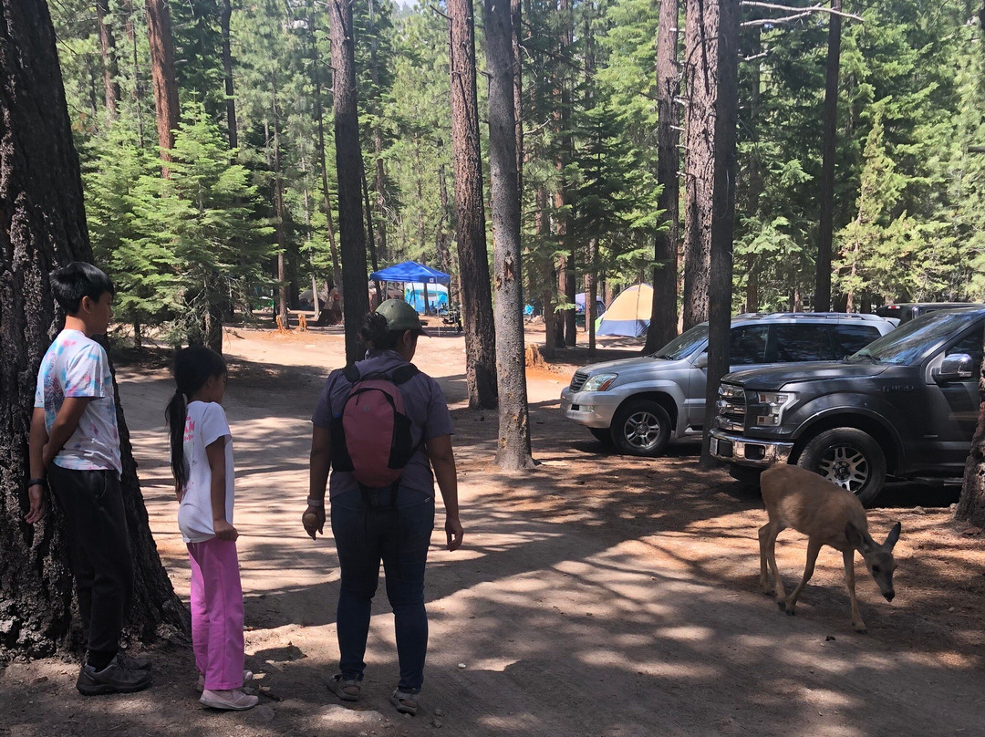 Annett's Mono Village主图