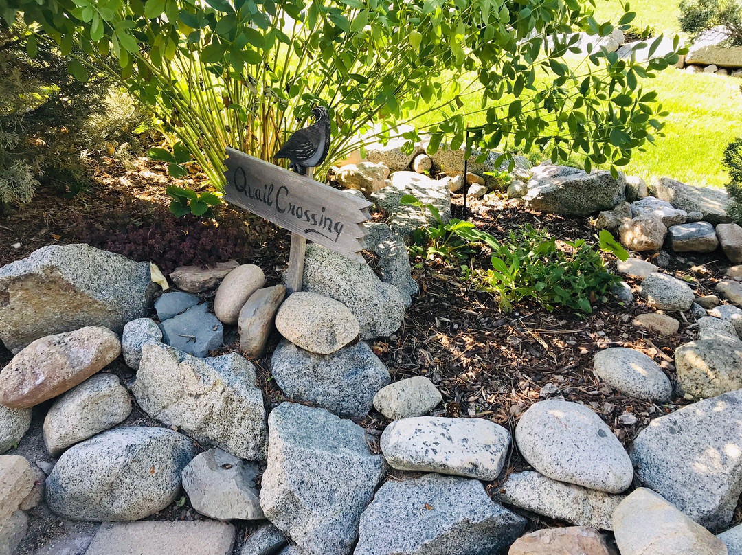 Apples and Quails Bed & Breakfast主图