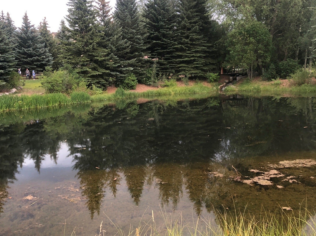 Sheraton Lakeside Terrace Villas at Mountain Vista, Avon, Vail Valley主图