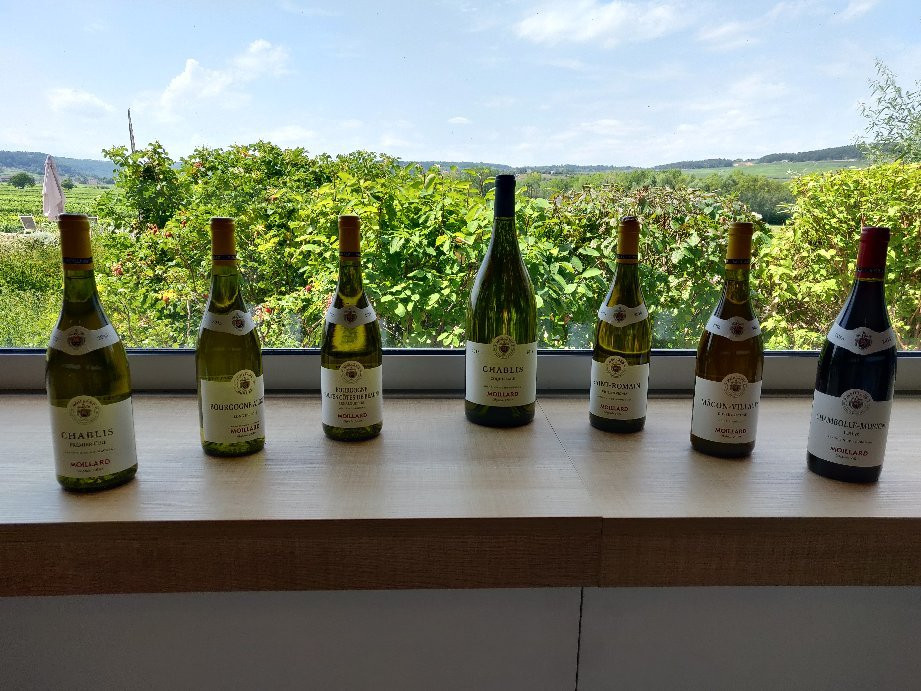 Caveau Meursault - MOILLARD景点图片