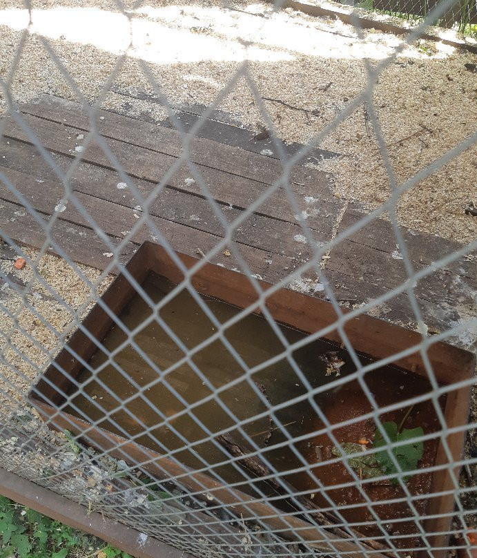 National Park Zuratkul-Satka必去景点