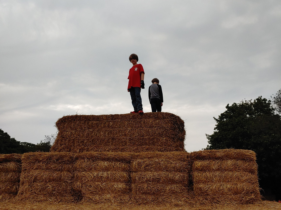 Bishop's Orchards-Guilford必去景点
