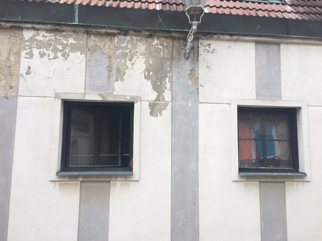 Hotel Zlatá Hvězda主图