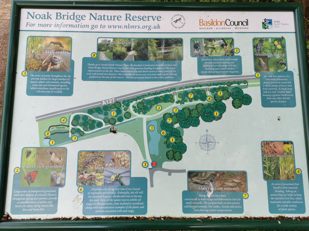 Noak Bridge Nature Reserve景点图片