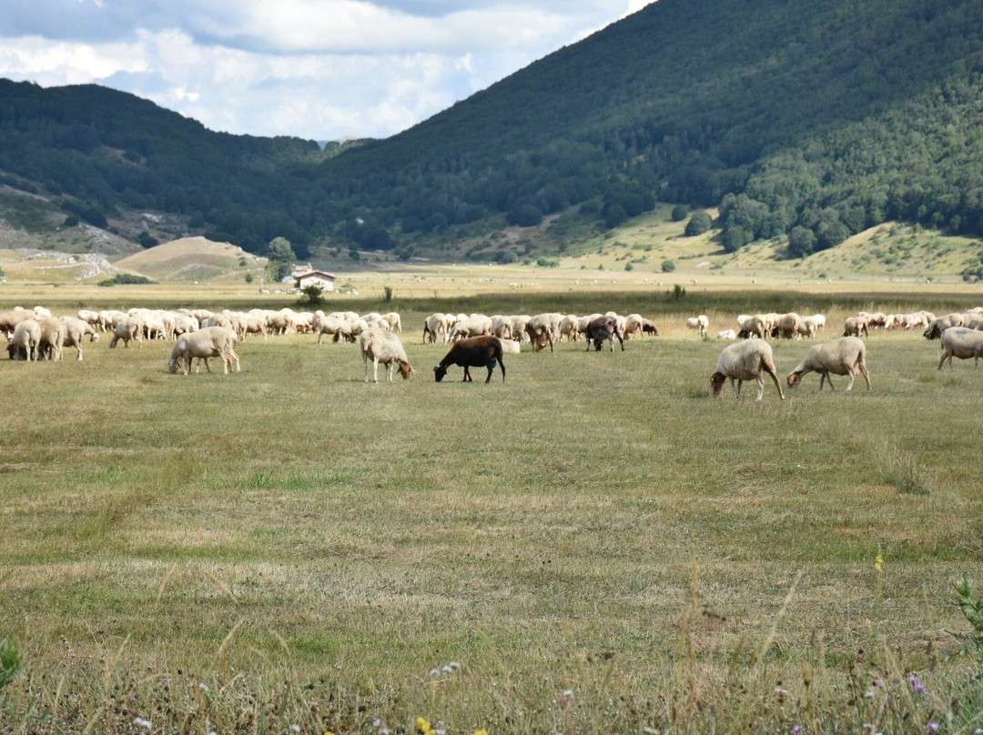 Altopiano di Rascino-Fiamignano必去景点