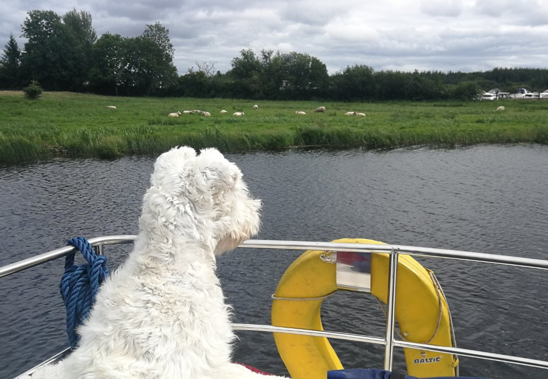 River Shannon-利默里克郡必去景点
