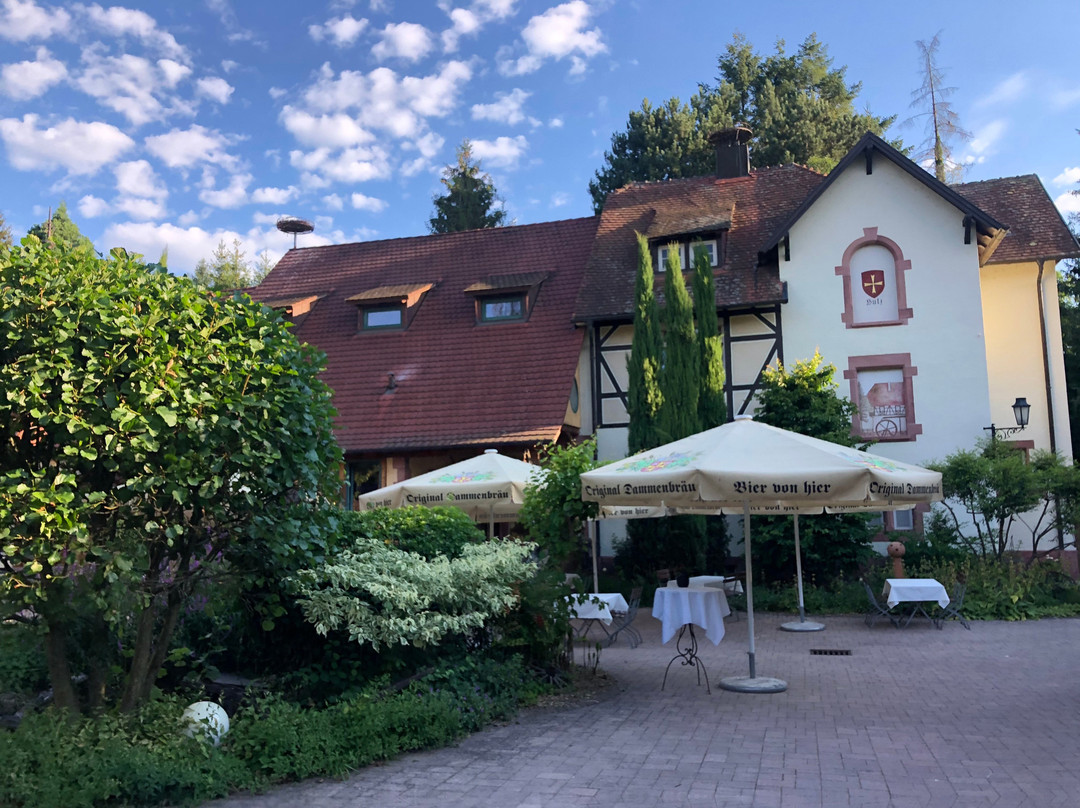 Hotel Dammenmühle主图