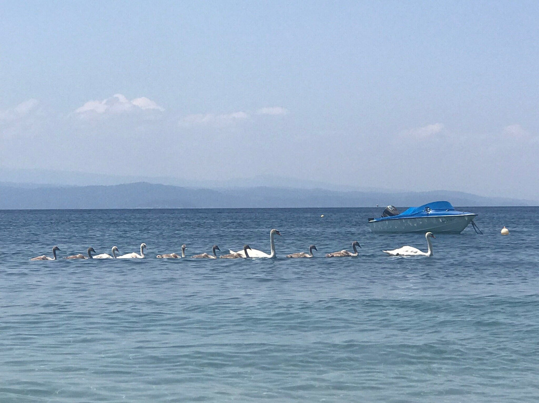 Agia Paraskevi Beach景点图片
