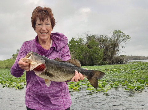 Ocala Bass Fishing-奥卡拉必去景点