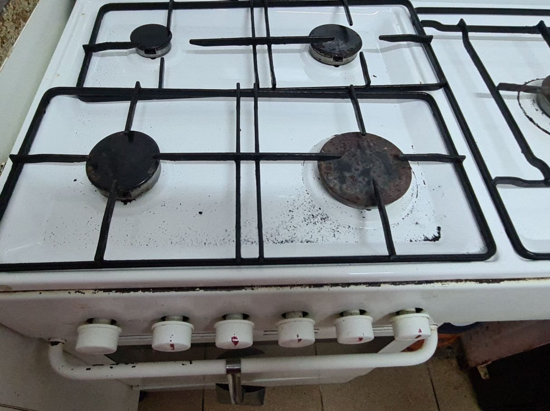 The Olive Tree主图