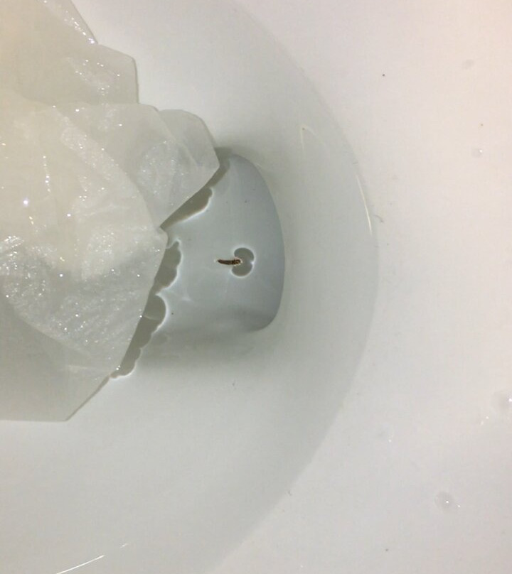 Hampton Inn & Suites by Hilton Lethbridge主图