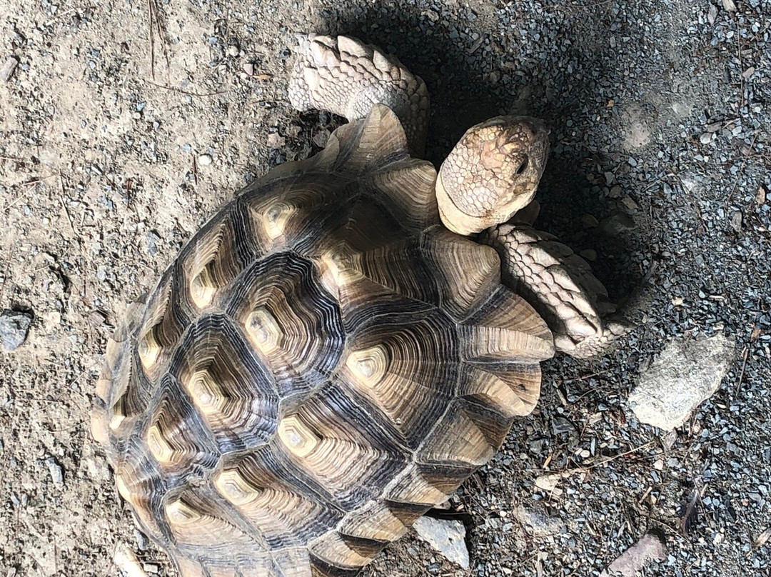 The Zoo in Forest Park & Education Center-斯普林菲尔德必去景点