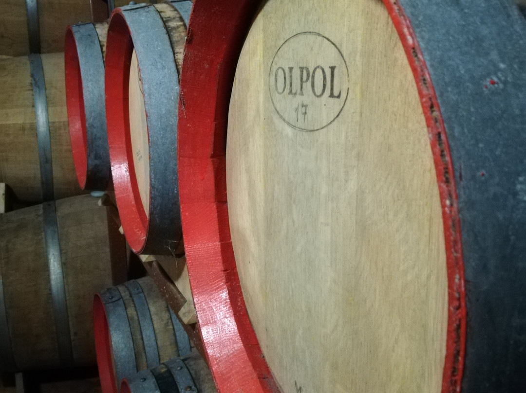 Winery Natalia and Maryana Shevchenko-Bilyayivka必去景点