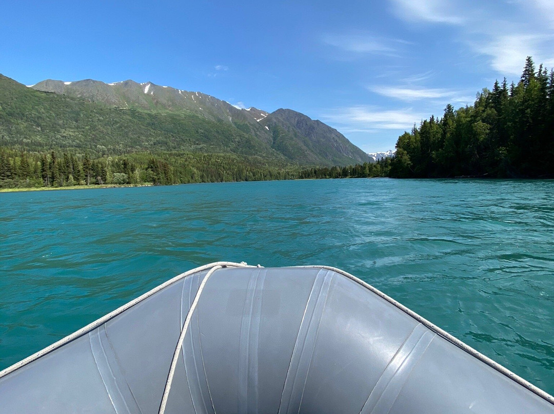 Alaska River Adventures - Day Tours景点图片