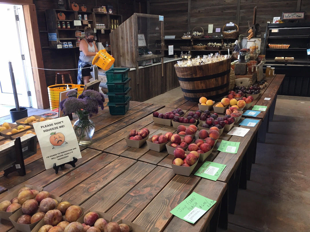 Andy's Orchard-摩根希尔必去景点