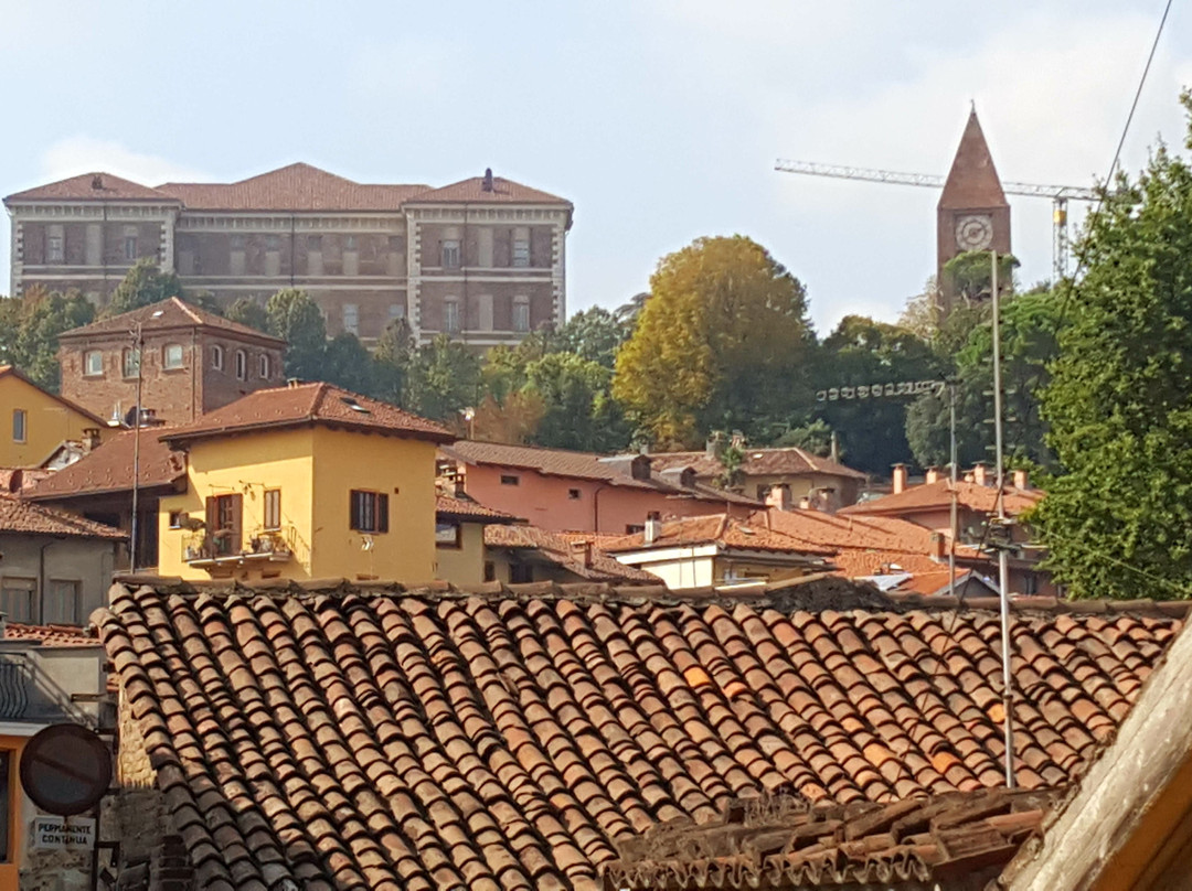 Castello di Rivoli Museum of Contemporary Art景点图片