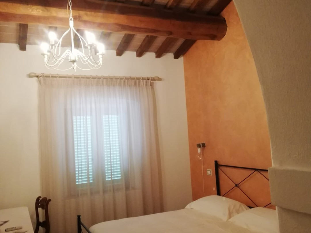 Fattoria L'Olmetto主图