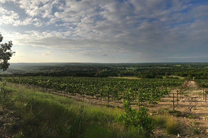 Vine and Wine Tours of North Texas景点图片