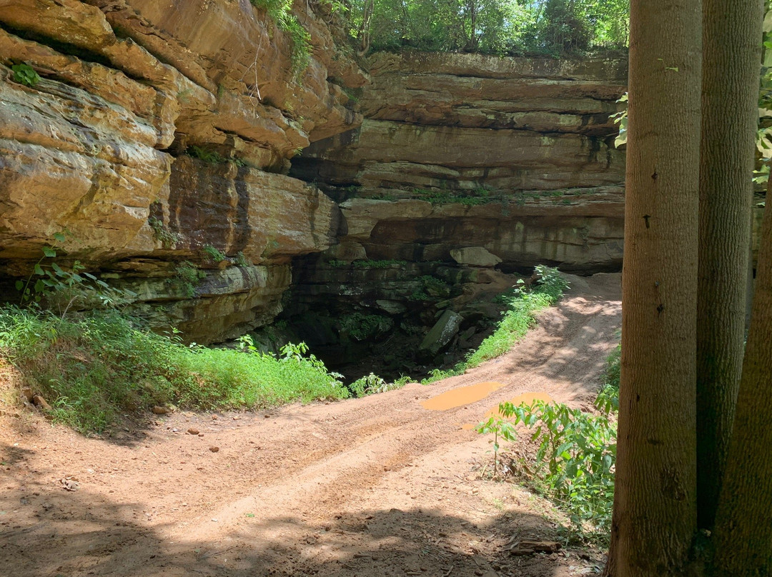 Wildcat Adventures Off Road Park-East Bernstadt必去景点
