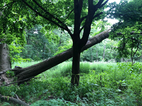 Saddle River County Park-萨德尔布鲁克必去景点