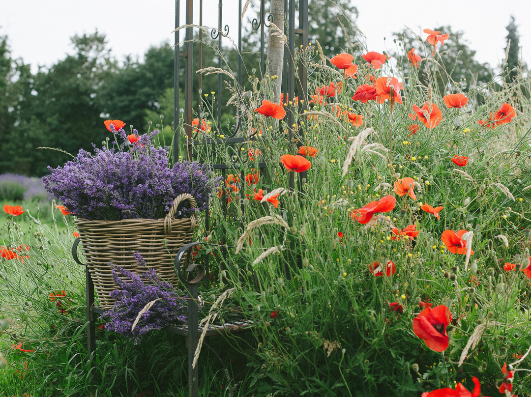 Tuscan Farm Gardens景点图片