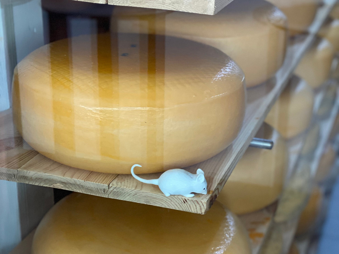 Yevropeyskaya Syrovarnya-Shabo必去景点