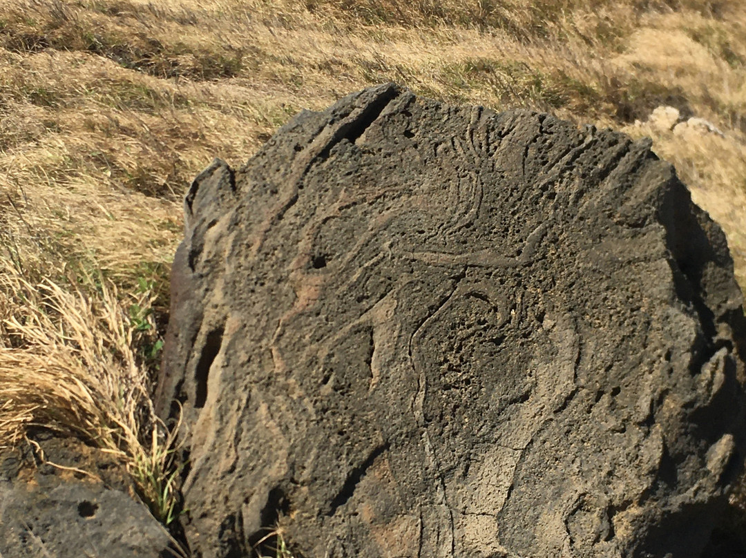 Ka Lae Light-纳勒胡必去景点