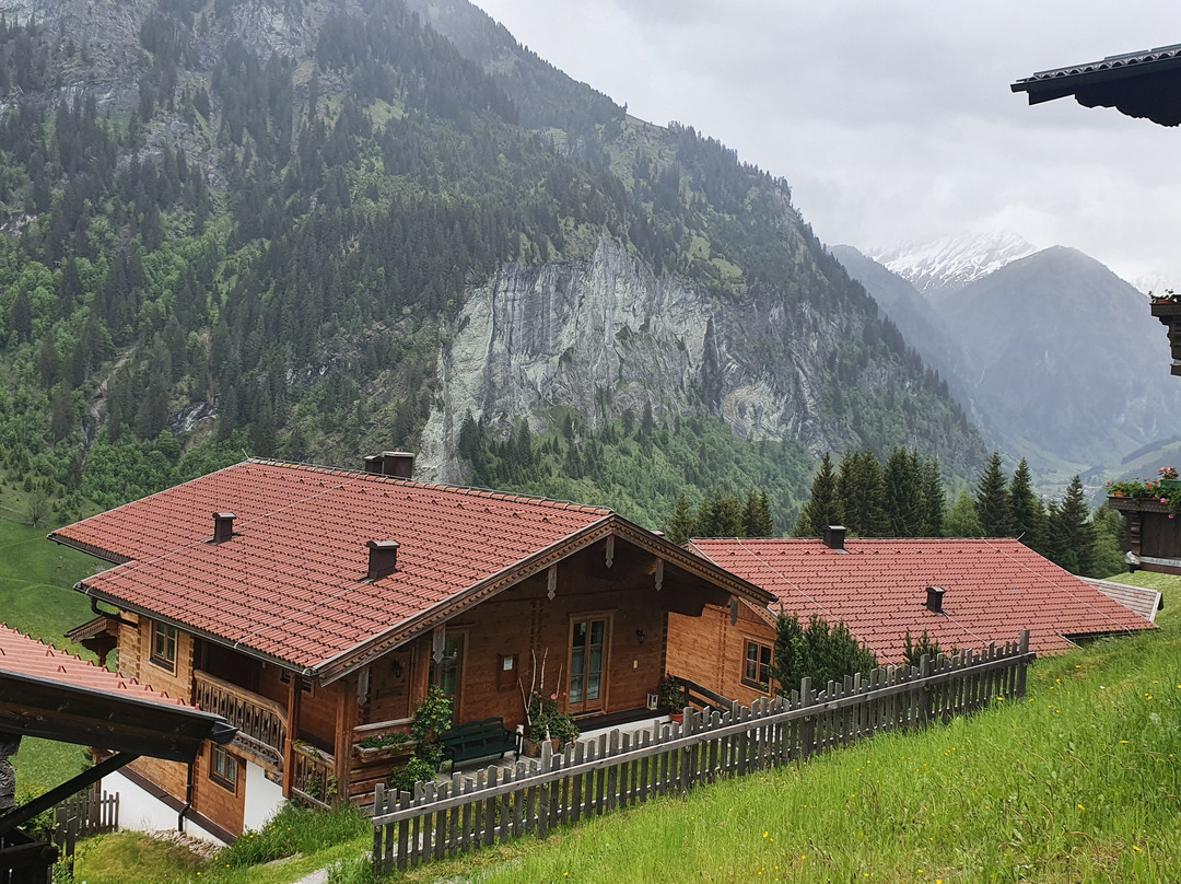 Bauerndorfl Rindereben主图