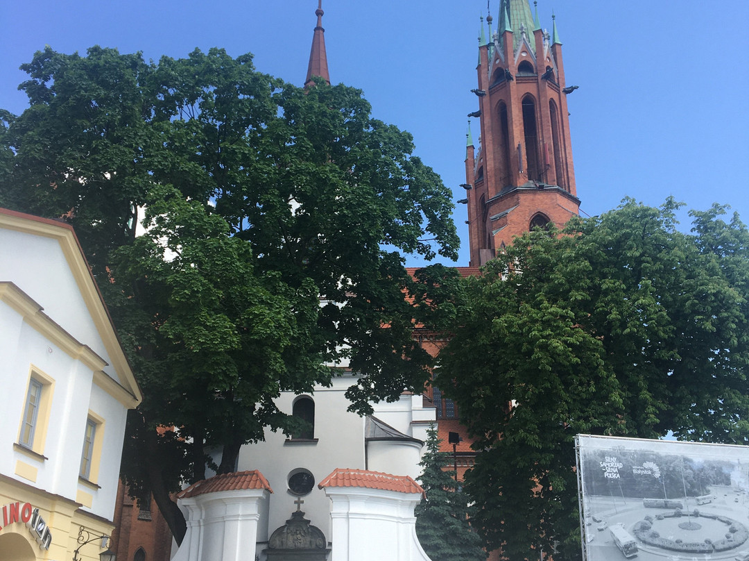 Cathedral Basilica of the Assumption of the Blessed Virgin Mary-比亚韦斯托克必去景点