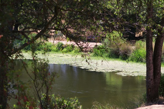 Sailor Bar Park-Fair Oaks必去景点