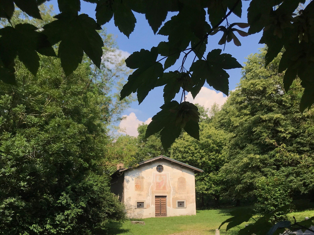 比扎罗内旅游攻略图片