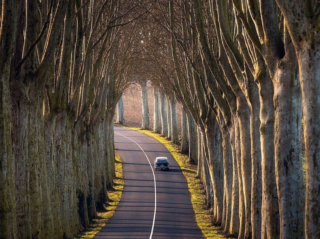 casa de los angels-Jalostotitlan必去景点