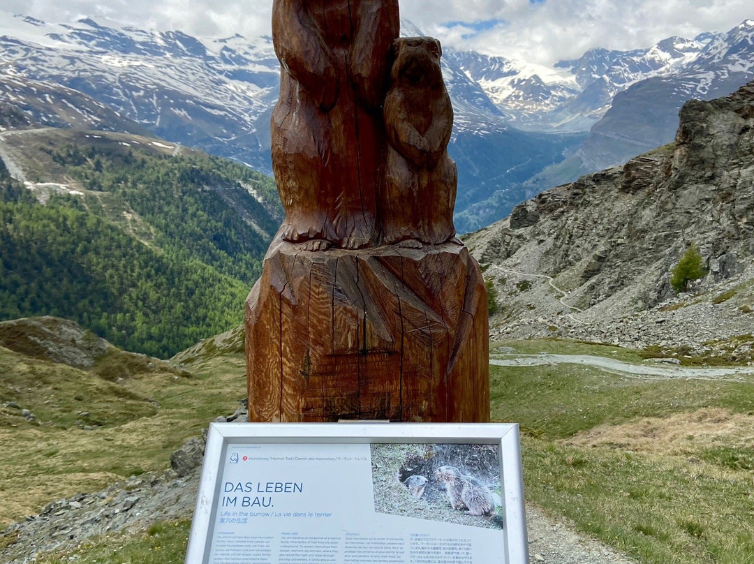 Marmot Trail-策马特必去景点