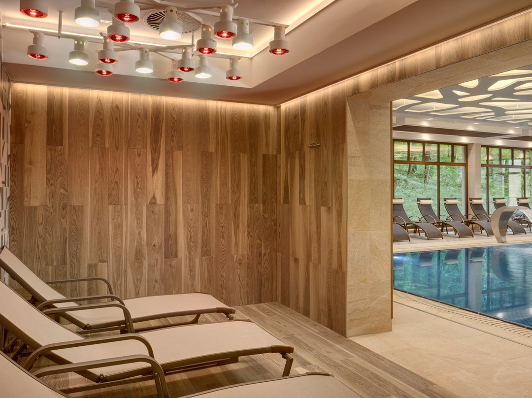 Svoboda Ensana Health Spa Hotel主图