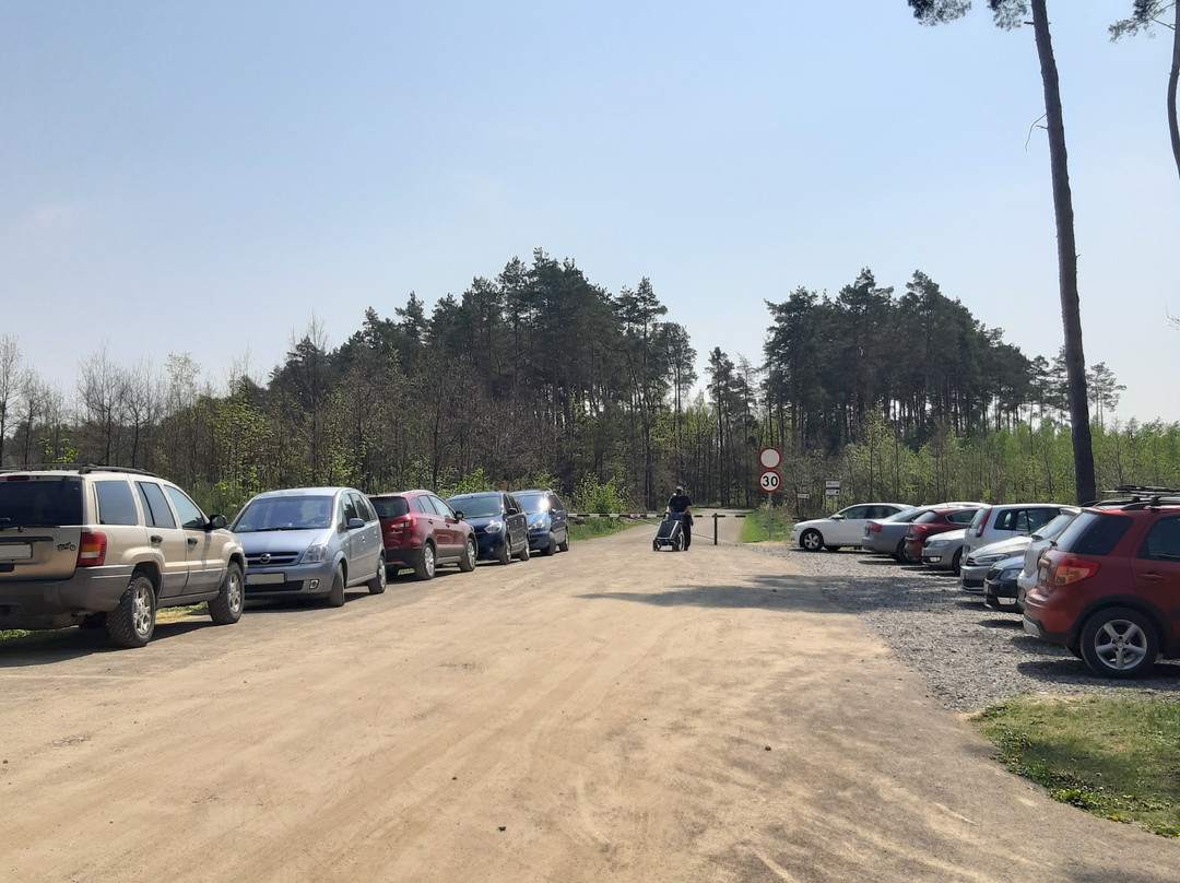 Rezerwat Przyrody Rzeka Rawka景点图片
